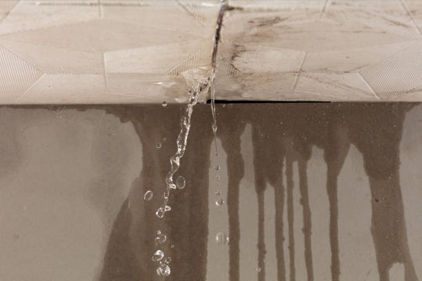 Professional Burst Pipe Cleanup technician working in Eldridge, AL